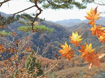 建设银行落地民营科技企业并购贷款试点业务|界面新闻 · 快讯